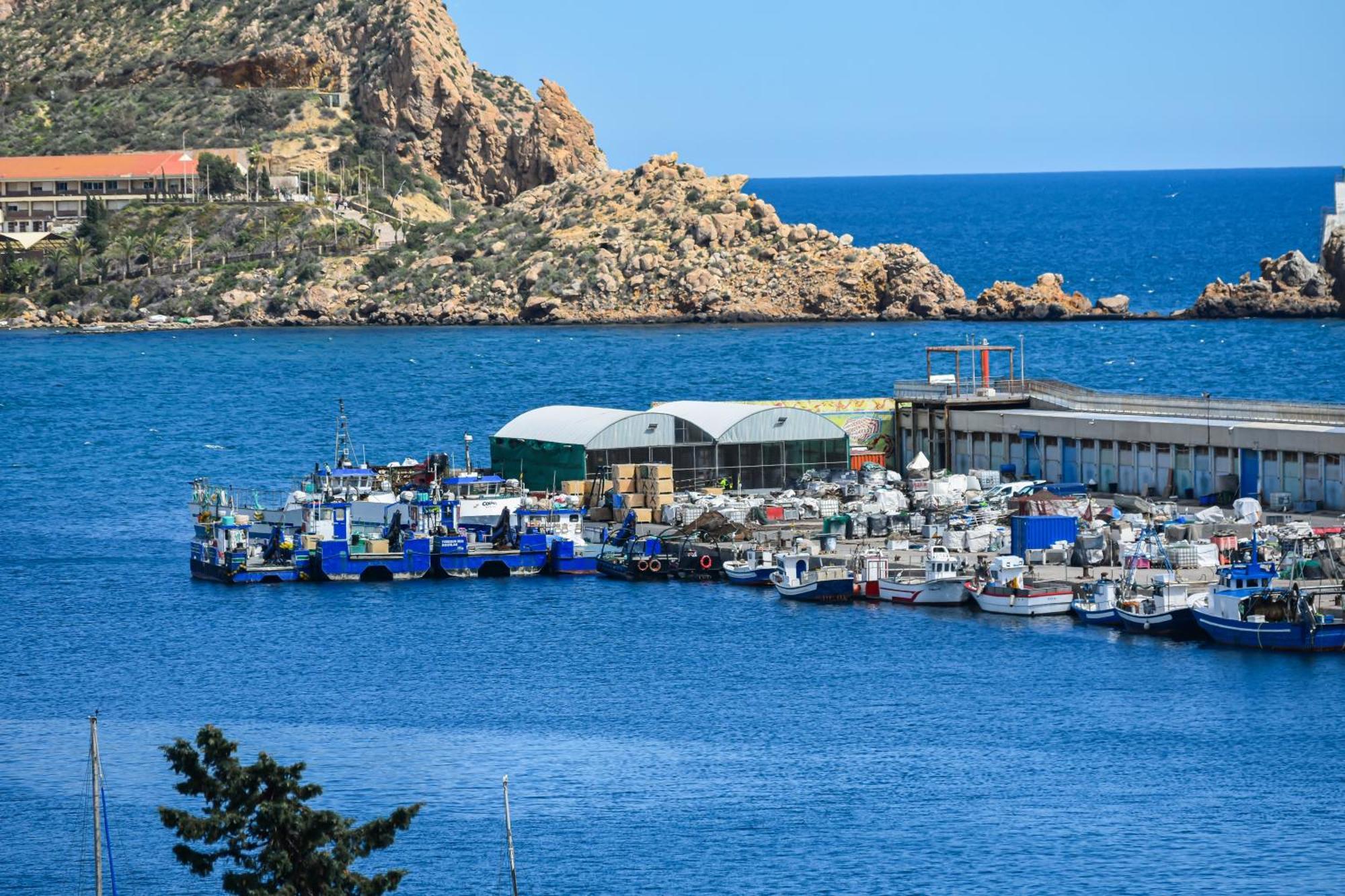 Dream View Aguilas - By Aloha Palma Extérieur photo